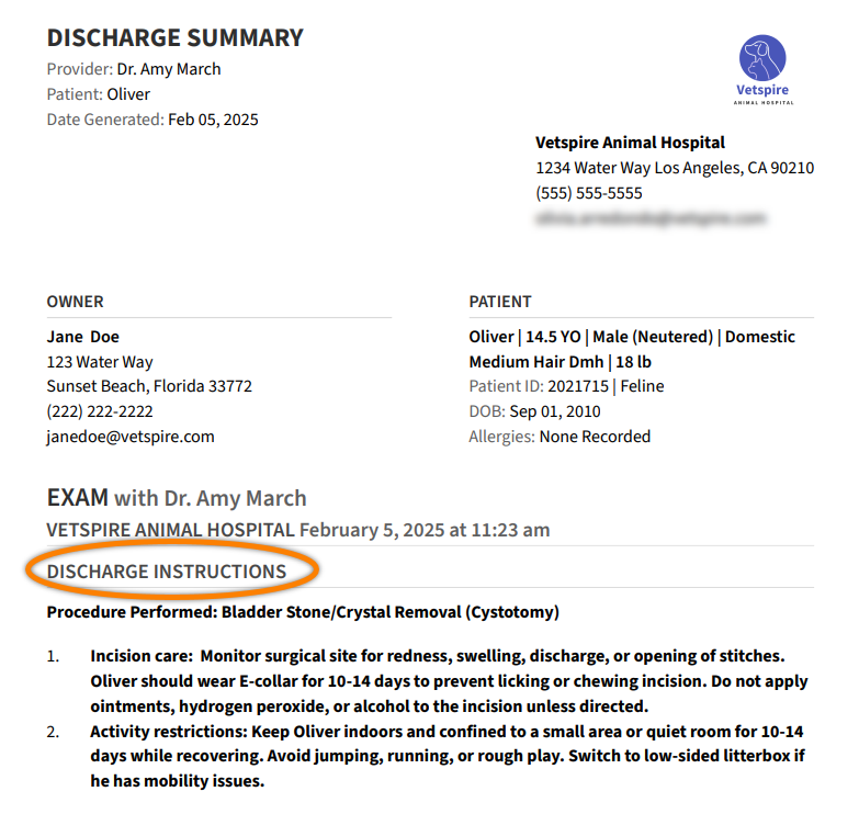 ENC_Discharge-PDF-Example.png